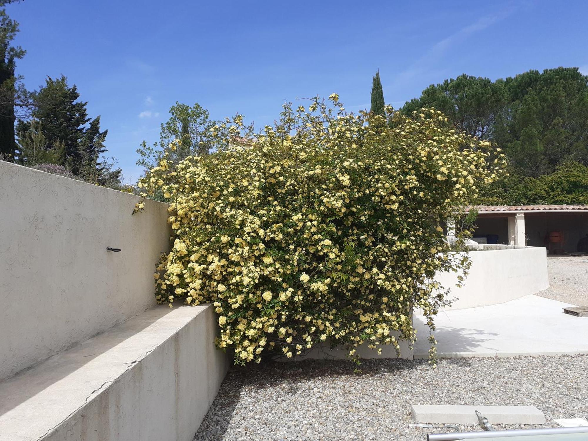 Chambres D'Hotes, B&B Climatisees La Borrellienne Saint-Maximin Exterior foto